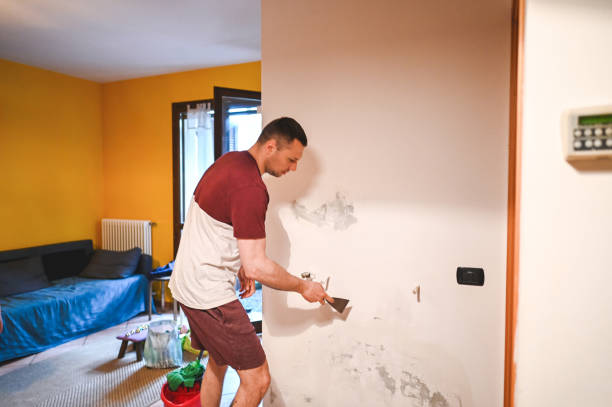 Certified Mold Removal in Progress Village, FL