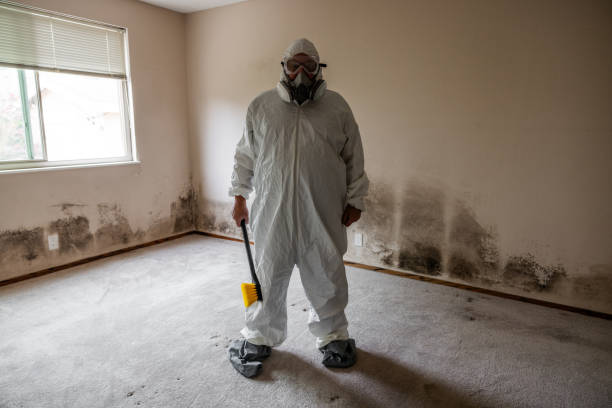 Attic Mold Removal in Progress Village, FL